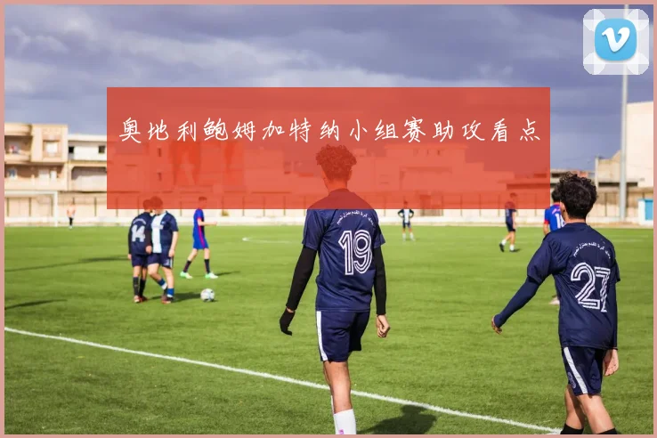 奥地利鲍姆加特纳小组赛助攻看点