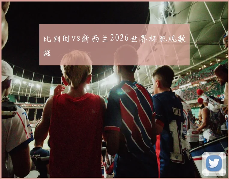 比利时vs新西兰2026世界杯犯规数据