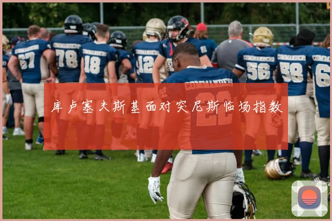 库卢塞夫斯基面对突尼斯临场指数