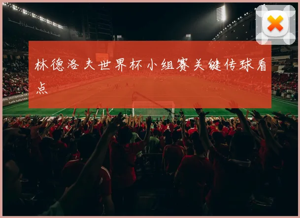 林德洛夫世界杯小组赛关键传球看点