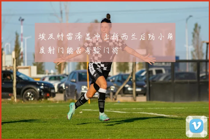 埃及特雷泽盖冲击新西兰后防小角度射门能否考验门将