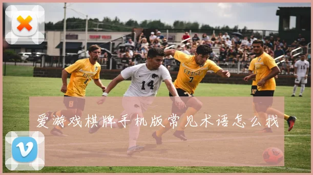 爱游戏棋牌手机版常见术语怎么找