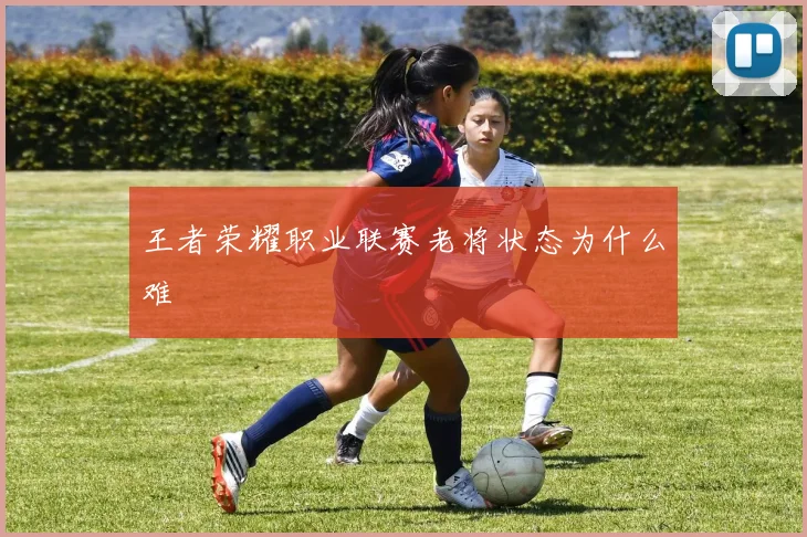 王者荣耀职业联赛老将状态为什么难
