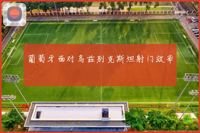 葡萄牙面对乌兹别克斯坦射门效率