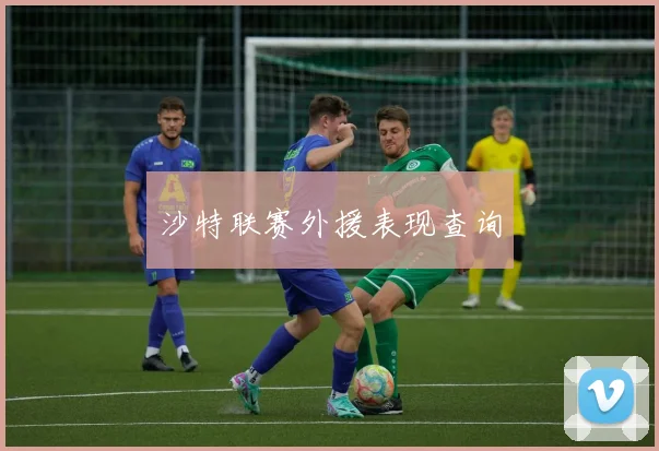 沙特联赛外援表现查询